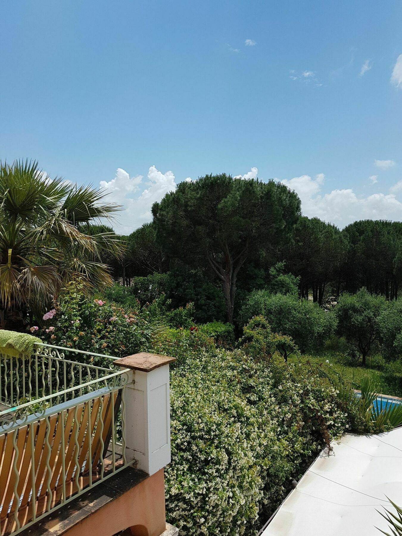 Chambres D'Hotes Villa Clauda Grimaud Dış mekan fotoğraf